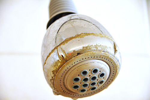 Douchekop voor poetsbeurt