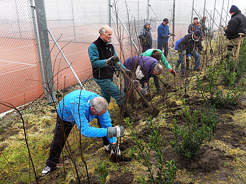 171202 Struikplantdag lange rij aan het werk 450
