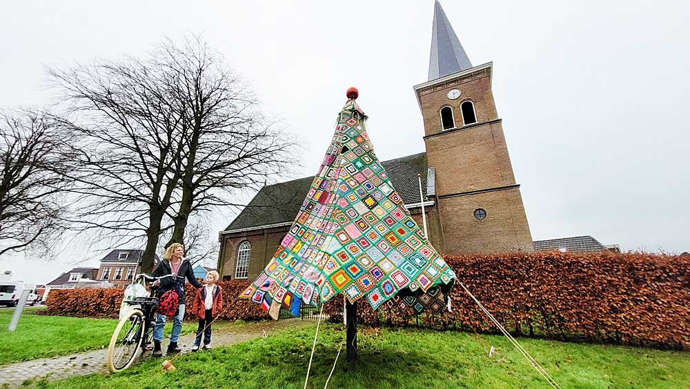 21121751 Kerstboom Doarpskeamer overdag