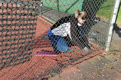 Annelies Tissink-Rutgers haalt het onkruid weg