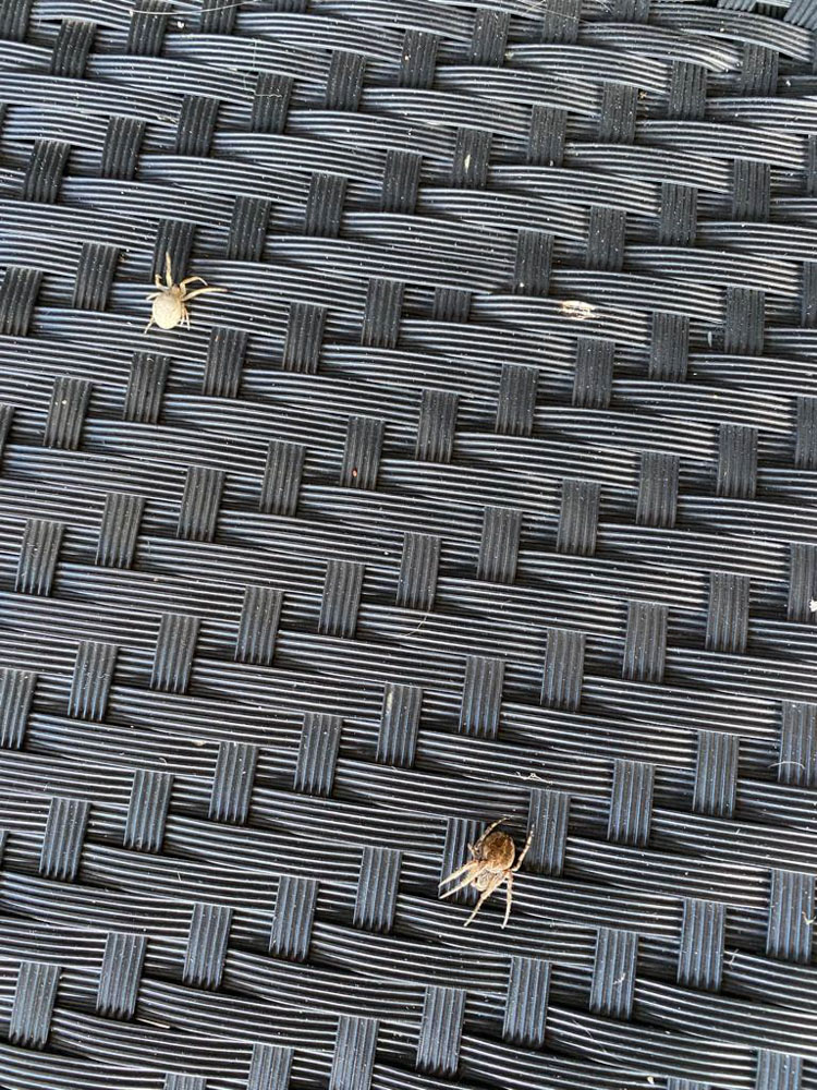 220918 TVA Klussendag 6