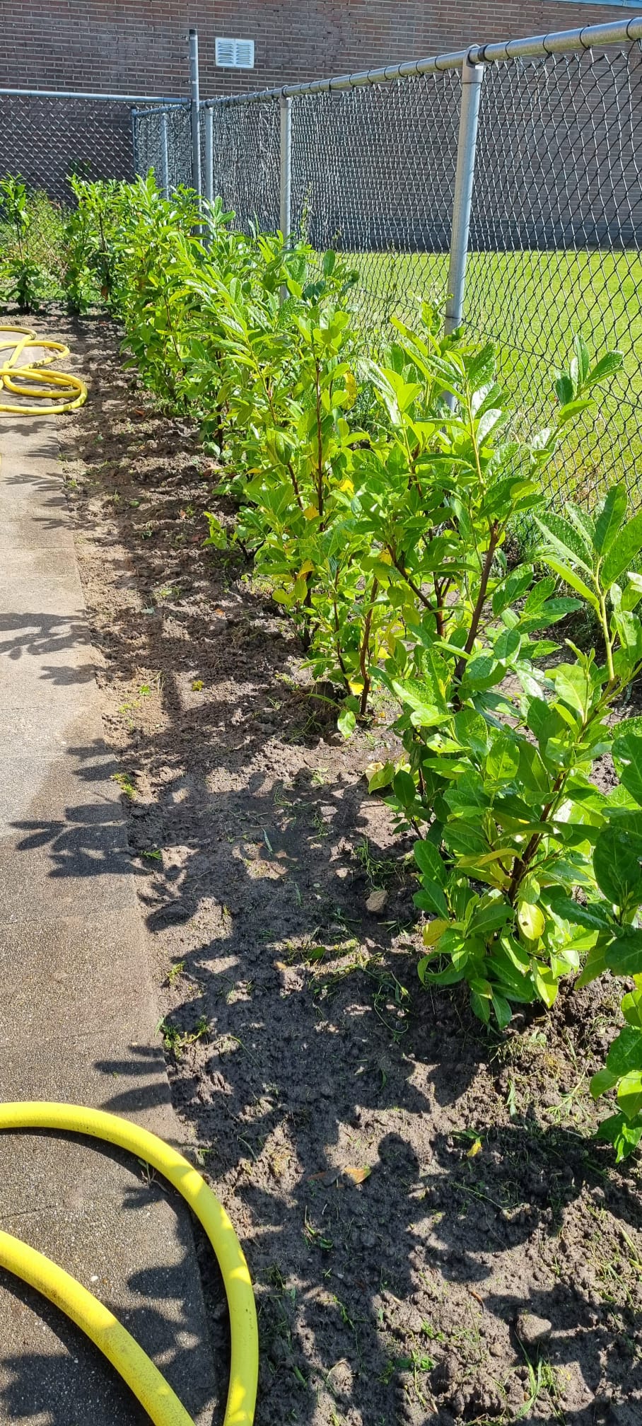 230708 TVA Klussendag haag