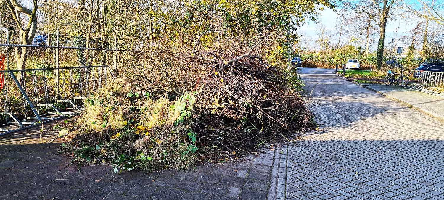 241130 TVA Groendag 3 c TVA