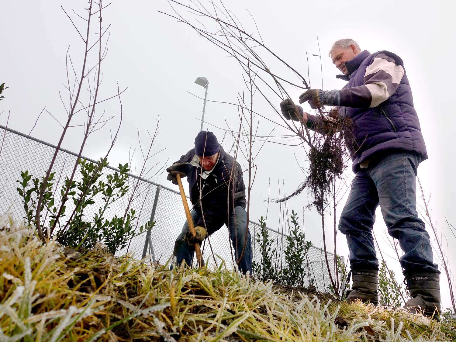 171202 Struikplantdag bestuur