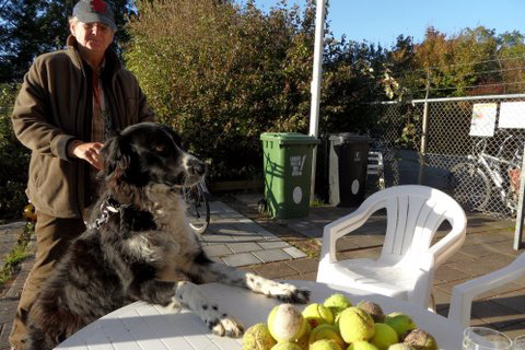 101021_bonne_zoekt_ballen